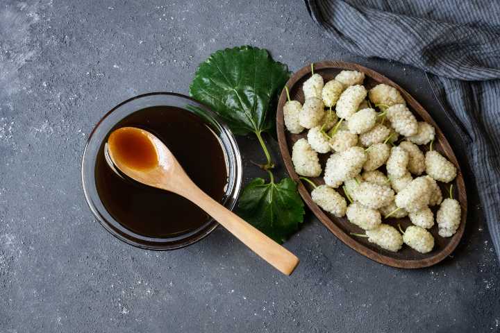 قیمت شیره توت در مشهد + خرید و فروش