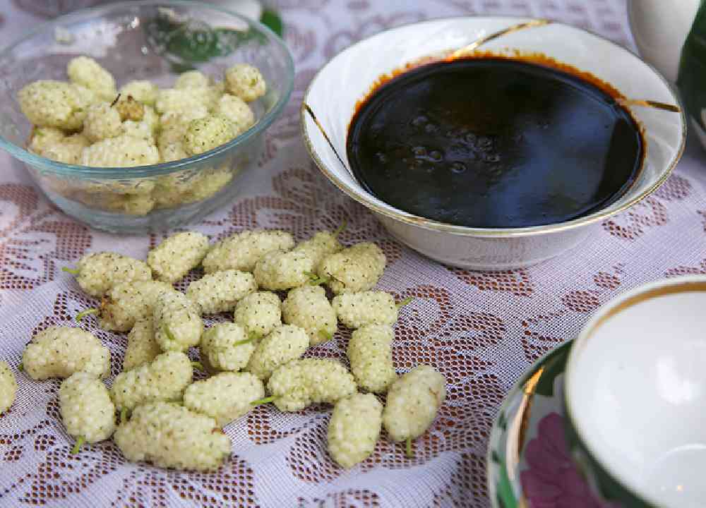 قیمت شیره توت 1401 + خرید و فروش