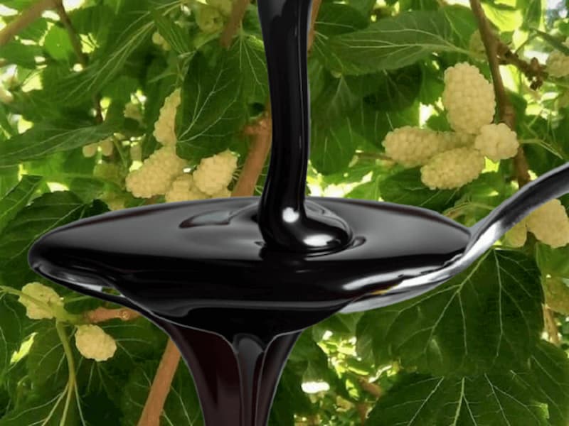 کارخانه شیره توت + قیمت خرید عمده و فله