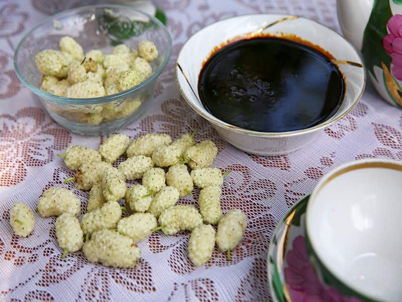 خرید جدیدترین انواع شیره توت خانگی