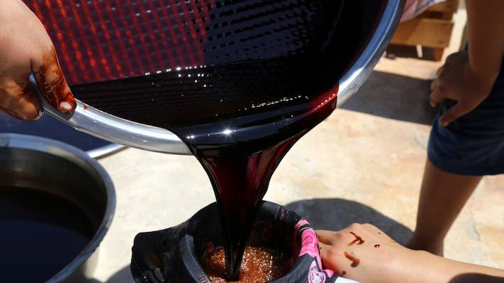 قیمت شیره توت سیاه ملایر + خرید و فروش